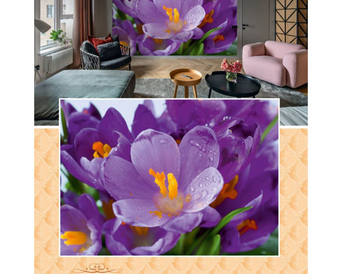 Фотошпалери Prestige №80 272х196см