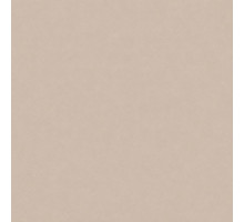 Шпалери вінілові на флізеліновій основі WallColor W 151 C02 (1,06х10,05м)