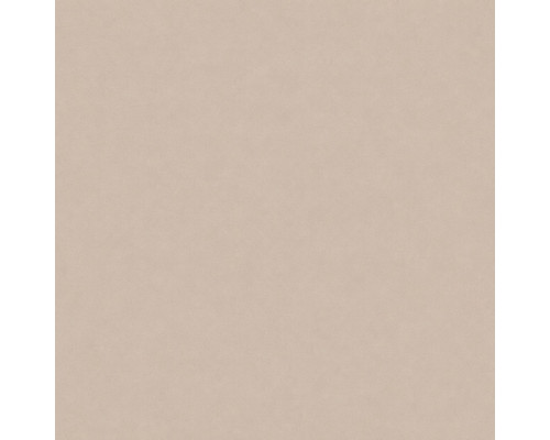Шпалери вінілові на флізеліновій основі WallColor W 151 C02 (1,06х10,05м)
