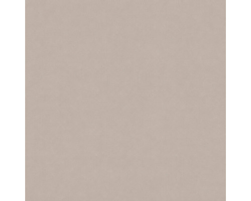Шпалери вінілові на флізеліновій основі WallColor W 151 C04 (1,06х10,05м)