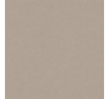 Шпалери вінілові на флізеліновій основі WallColor W 151 C05 (1,06х10,05м)