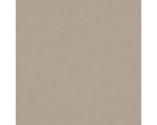 Шпалери вінілові на флізеліновій основі WallColor W 151 C05 (1,06х10,05м)