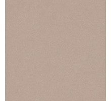 Шпалери вінілові на флізеліновій основі WallColor W 156 C 13 (1,06х10,05м)