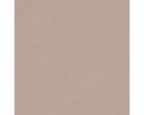Шпалери вінілові на флізеліновій основі WallColor W 156 C 13 (1,06х10,05м)
