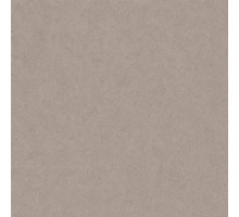 Шпалери вінілові на флізеліновій основі WallColor W 157 C 13 (1,06х10,05м)