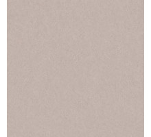 Шпалери вінілові на флізеліновій основі WallColor W 157 C 15 (1,06х10,05м)