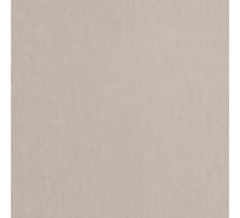 Шпалери вінілові на флізеліновій основі WallColor W 162 C 24 (1,06х10,05м)