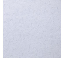 Шпалери вінілові на флізеліновій основі PROfhome PH 208 P 80 (1,06х10,05м)