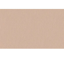 Шпалери Sintra вінілові на флізеліновій основі 524350 EXPANSIO / BOTANICA, TIMBERLAND UNI (1,06х10,05м)