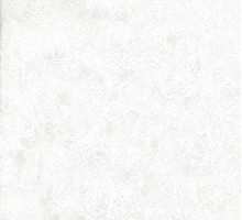 Шпалери дуплекс ЕКСКЛЮЗИВ 409-00 (0,53*10,05м) 
