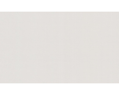Шпалери вінілові на флізеліновій основі WallColor W151 C00 (1,06*10,05м)