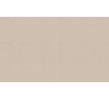 Шпалери вінілові на флізеліновій основі WallColor W151 C02 (1,06*10,05м)