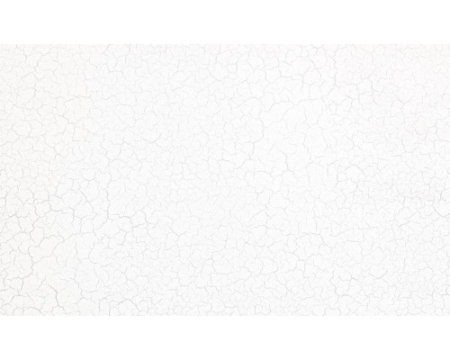 Шпалери вінілові на флізеліновій основі WallColor W 156 C 10 (1,06*10,05м)
