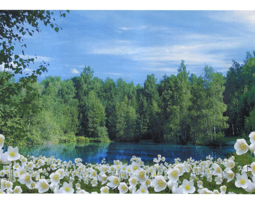 Фотошпалери Арт-Декор "Квітковий берег" 134х194см