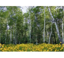 Фотошпалери Арт-Декор "Лісові красуні" 134х194см